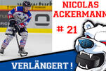 Nicolas ackert weiter im Icehouse