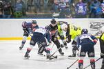 RL: Eisbären reisen ins Hornissennest